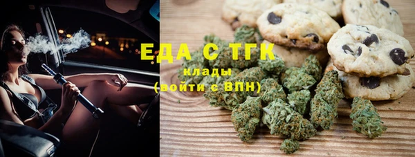 гидра Абаза