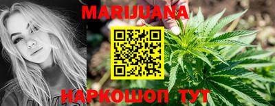сатива Краснодар