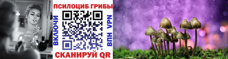 Галлюциногенные грибы MAGIC MUSHROOMS Каменск-Уральский