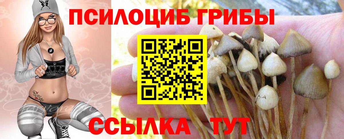 Галлюциногенные грибы Psilocybe  где продают наркотики  Галлюциногенные грибы мицелий  Каменск-Уральский  Вход с VPN 
